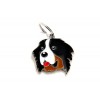 Médaille gravée pour chien bouvier bernois