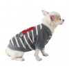 Pull pour chien Sweat Highway