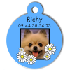 Medaille personalisee chien My Dog photo Richy