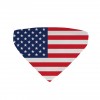 Collier bandana chien drapeau Etats-Unis