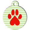 Médaille personnalisée chien Patoune fashion zigzag rayée verte