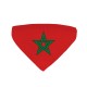 bandana-pour-chien-maroc-drapeau