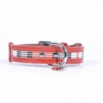 COLLIER CUIR ROUGE CHIEN