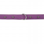 collier violet chien
