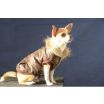 manteau chien col moumoute