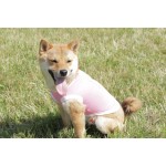 Tshirt rose woof chien  