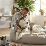 à quel âge un husky se calme