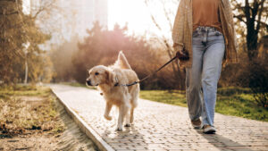 Promener son chien dans le 17e : guide pratique des parcs, squares et espaces canins