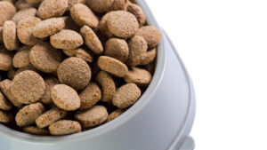 Bab’in, une marque française dédiée à la nutrition animale de qualité